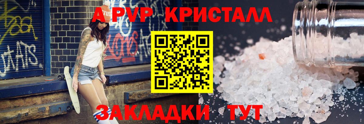 Альфа ПВП СК Дальнегорск
