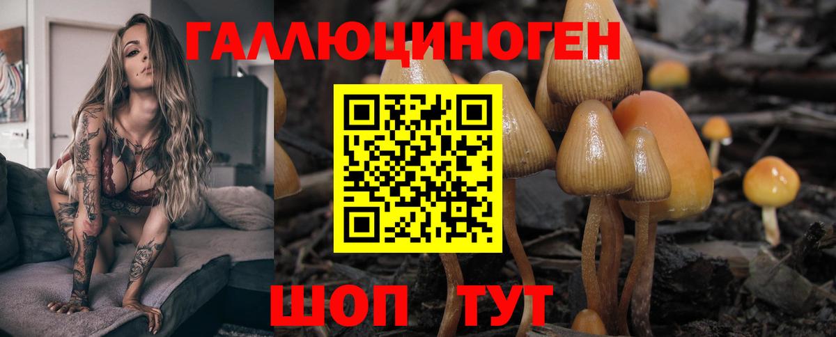 Галлюциногенные грибы мицелий Дальнегорск