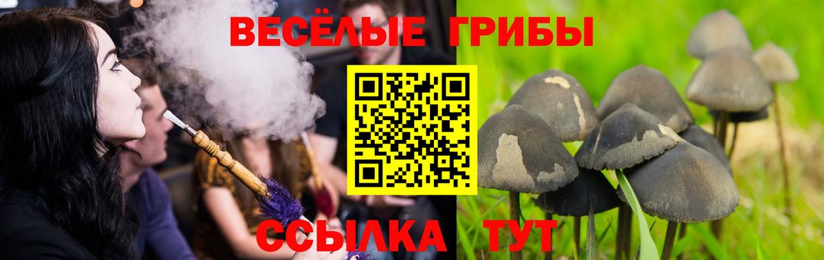 Дальнегорск  Галлюциногенные грибы Psilocybine cubensis  Галлюциногенные грибы Psilocybe  Вход с VPN 
